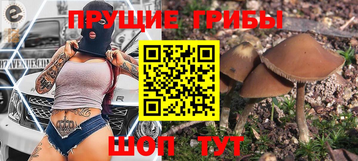 Галлюциногенные грибы мицелий Менделеевск