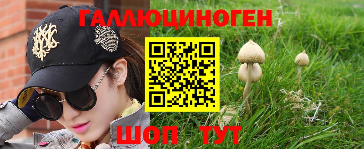 Галлюциногенные грибы MAGIC MUSHROOMS  Вход с VPN  купить наркотики сайты  Менделеевск 